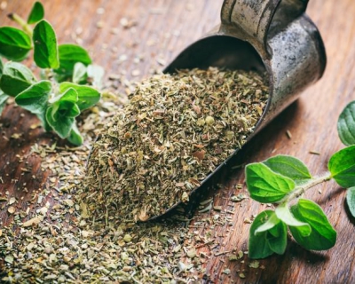 Công Dụng Và Cách Dùng Oregano Trong Nấu Ăn